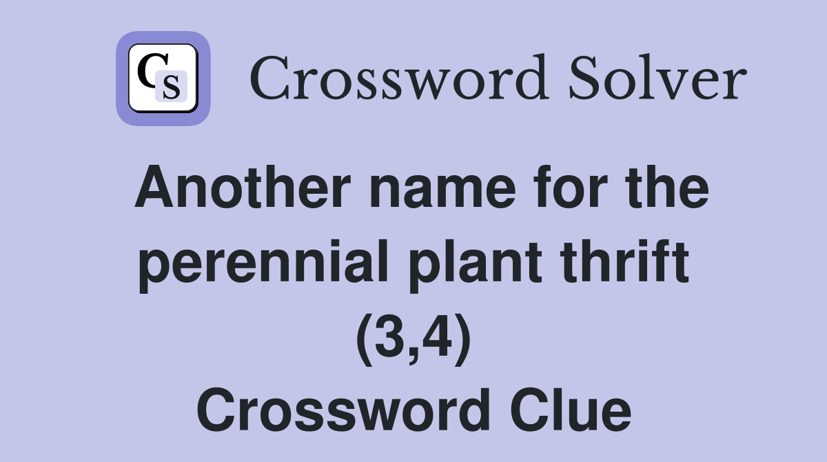 Another name for the perennial plant thrift (3,4) Crossword Clue